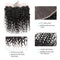 Ali Grace Water Wave Hair Bundles 3 Pcs with 13x4 Lace Frontal