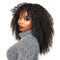 Dola Hair Mongolian Kinky Curly Full Lace Wigs Human Hair No Glue No Hair Out