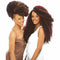 Janet Collection Noir Braids – 2X Afro Twist Braid