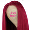 Aligrace 4x4 Lace Closure Straight Wigs BUG Color