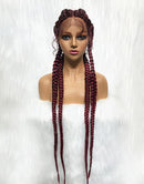 Jessies Wig Hand-Braided Lace Braided Wigs with Braid Ponytails with Baby Hair for Women