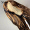 Xrs Beauty Hair