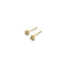 Gold 14KT Studs