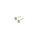 Gold 14KT Studs