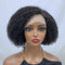 Aligrace Hair Kinky Curly Human Hair Wigs