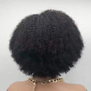 Aligrace Hair Kinky Curly Human Hair Wigs