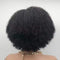 Aligrace Hair Kinky Curly Human Hair Wigs