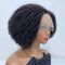 Aligrace Hair Kinky Curly Human Hair Wigs