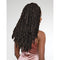 Janet Collection Nala Tress Braids - Poetry Locs 18"