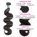 Ali Grace Malaysian Body Wave Hair Bundles 4 Pcs With 4x4 Lace Closure