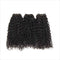 Ali Grace Kinky Curly Hair Bundles 3 Pcs with 4x4 Lace Closure