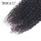 Xrs Beauty Hair 1 Bundle Tight Curly Brazilian Hair Virgin Human Hair Bundle [WEFT06]