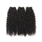 Ali Grace 3 Pcs Kinky Curly Human Hair Weave