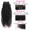 Ali Grace Brazilian Kinky Curly Hair Bundles 3 Pcs With 4x4 Lace Closure Full Cuticle Aligned