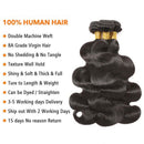 Mslynn Hair Malaysian Body Wave 3 Bundles with Lace Frontal 100% Human Hair Body Wave Bundles Natural Color