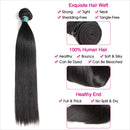 Ali Grace Straight Human Hair Bundles 3 Pcs With 4x4 Lace Closure