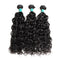 Ali Grace Water Wave Human Hair Bundles 3 Pcs With 4x4 Lace Closure