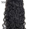 Xrs Beauty Hair 1pcs Water Wave Brazilian Virgin Hair Bundle [WEFT05]